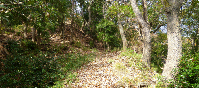 f:id:aw2q:20121201185320j:image
