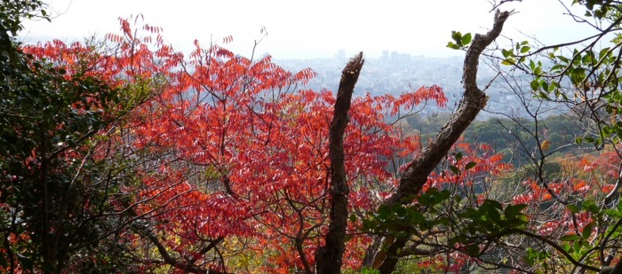 f:id:aw2q:20121201185329j:image