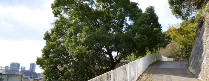 f:id:aw2q:20121201185355j:image