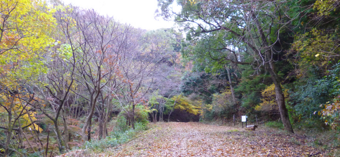 f:id:aw2q:20121201185549j:image