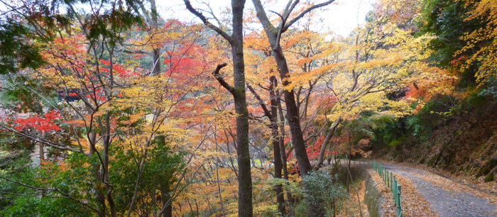 f:id:aw2q:20121201185558j:image