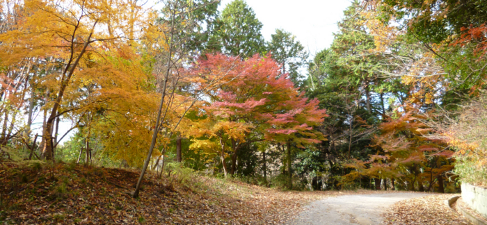 f:id:aw2q:20121201185607j:image