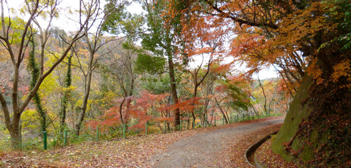 f:id:aw2q:20121201185614j:image