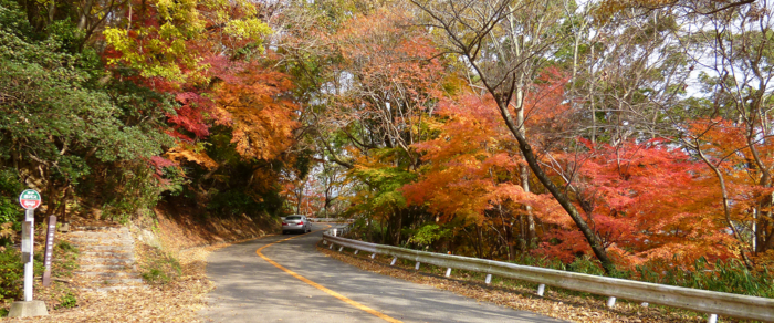 f:id:aw2q:20121201185633j:image