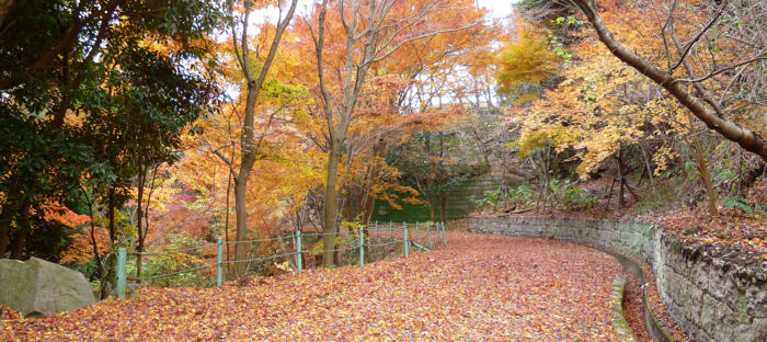 f:id:aw2q:20121201195647j:image