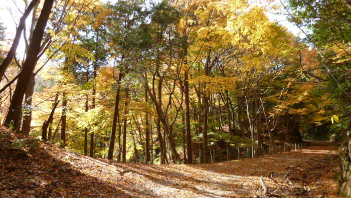 f:id:aw2q:20121201203312j:image