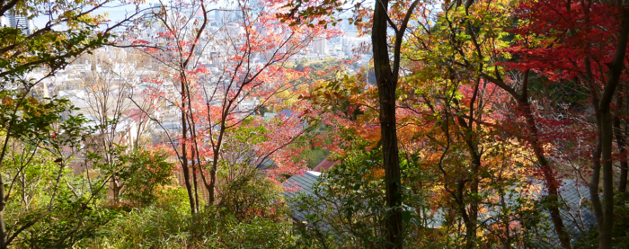 f:id:aw2q:20121204204813j:image f:id:aw2q:20121204204813j:image