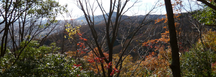 f:id:aw2q:20121204204821j:image f:id:aw2q:20121204204821j:image