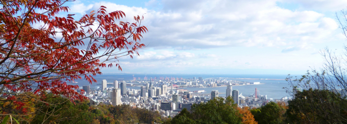 f:id:aw2q:20121204204829j:image f:id:aw2q:20121204204829j:image