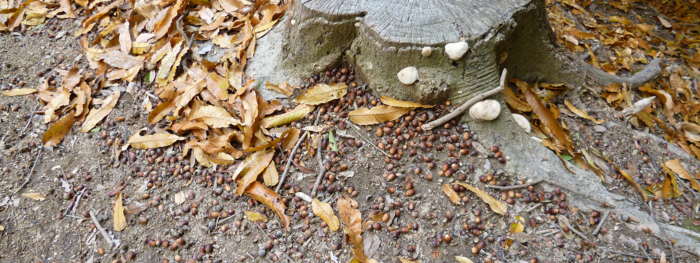 f:id:aw2q:20121204204836j:image f:id:aw2q:20121204204836j:image