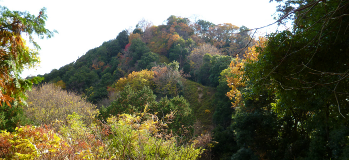 f:id:aw2q:20121204204844j:image f:id:aw2q:20121204204844j:image