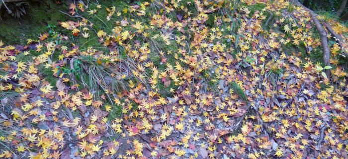 f:id:aw2q:20121204204914j:image f:id:aw2q:20121204204914j:image