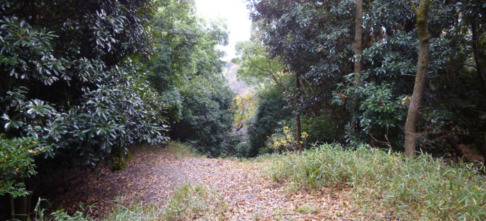 f:id:aw2q:20121204204924j:image f:id:aw2q:20121204204924j:image