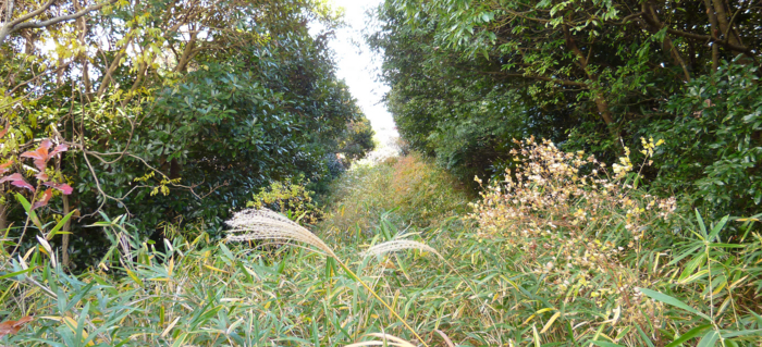 f:id:aw2q:20121204204934j:image f:id:aw2q:20121204204934j:image