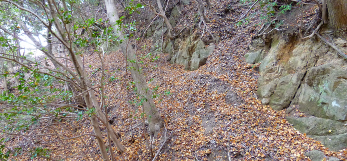 f:id:aw2q:20121205204632j:image