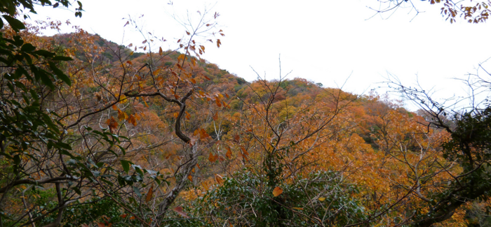 f:id:aw2q:20121205204643j:image