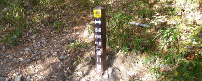f:id:aw2q:20121208184944j:image
