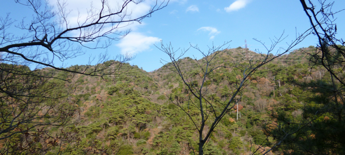 f:id:aw2q:20121208184957j:image