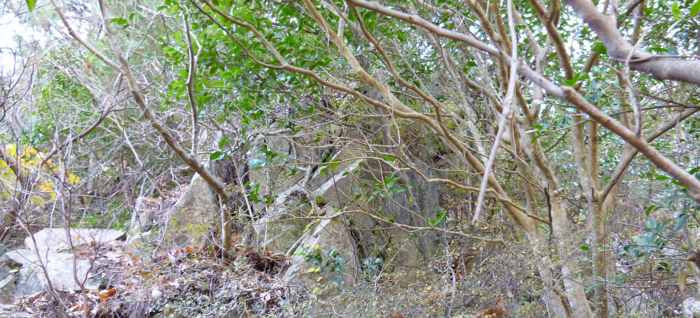 f:id:aw2q:20121208185005j:image