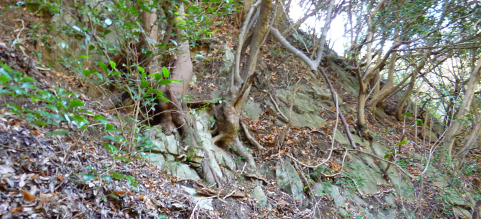 f:id:aw2q:20121208185012j:image