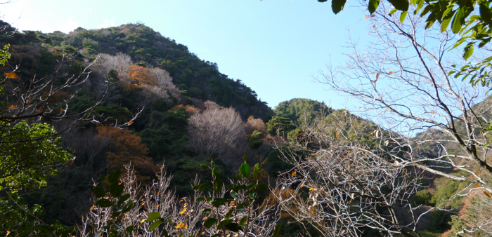 f:id:aw2q:20121208185028j:image