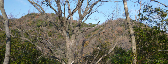 f:id:aw2q:20121217204218j:image