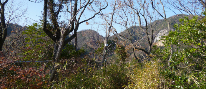 f:id:aw2q:20121217204226j:image
