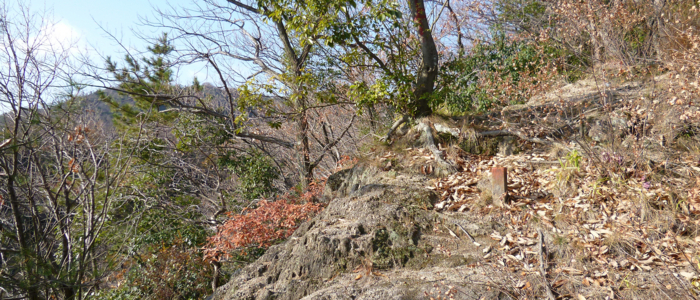 f:id:aw2q:20121217204232j:image