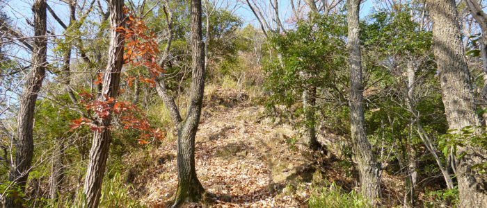 f:id:aw2q:20121217204240j:image