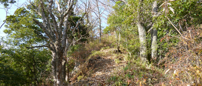 f:id:aw2q:20121217204249j:image