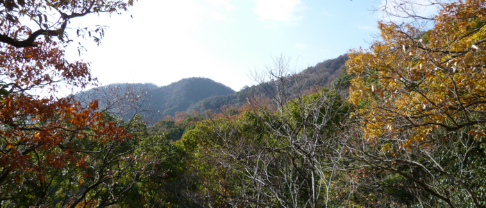 f:id:aw2q:20121217204258j:image