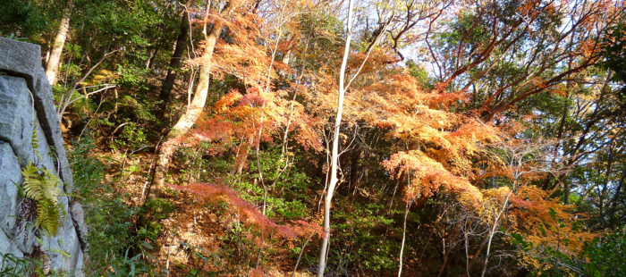 f:id:aw2q:20121218190512j:image