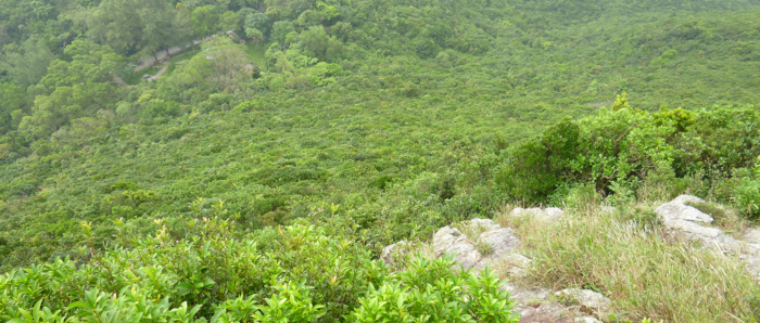f:id:aw2q:20121222004807j:image