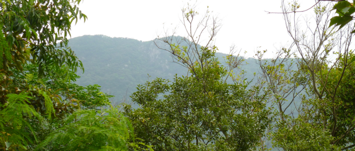 f:id:aw2q:20121222004823j:image