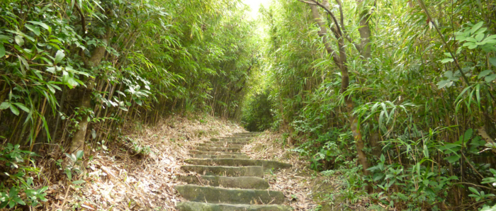f:id:aw2q:20121222004838j:image