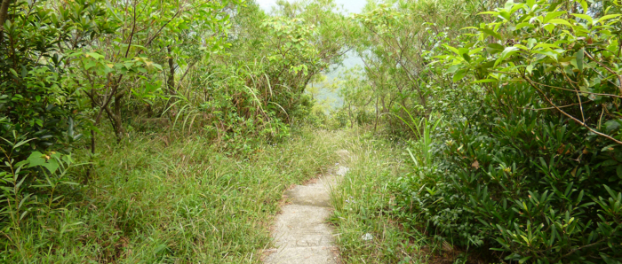 f:id:aw2q:20121222005248j:image