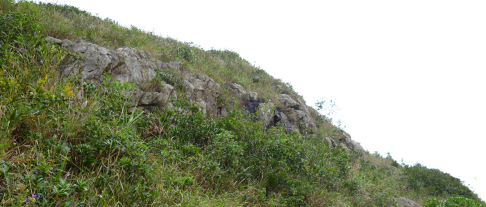 f:id:aw2q:20121222005304j:image