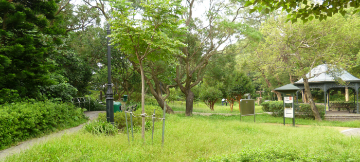 f:id:aw2q:20121222005840j:image