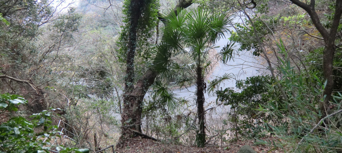 f:id:aw2q:20121223215317j:image