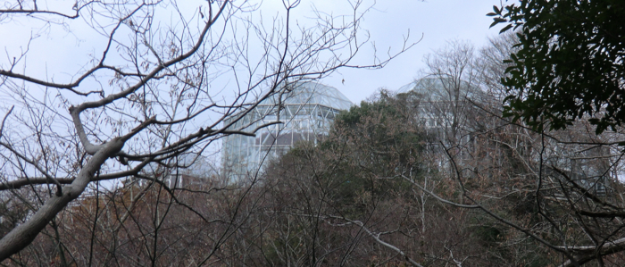 f:id:aw2q:20121223215325j:image