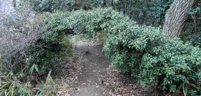 f:id:aw2q:20121223215330j:image