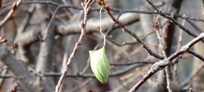 f:id:aw2q:20121223215340j:image