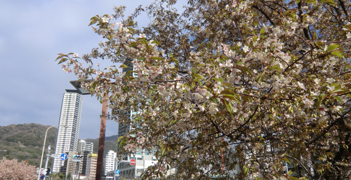 f:id:aw2q:20121224152732j:image
