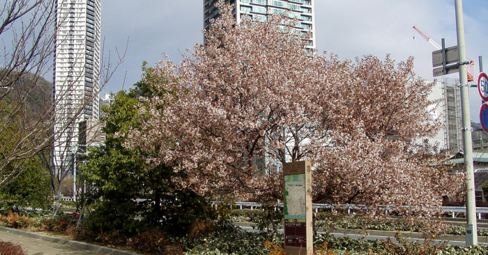 f:id:aw2q:20121224152755j:image