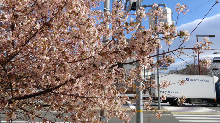 f:id:aw2q:20121224153611j:image