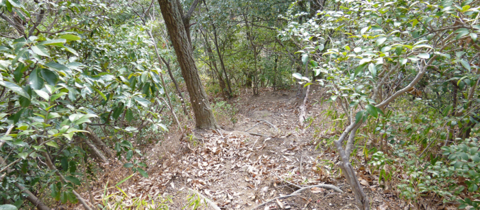 f:id:aw2q:20130106172629j:image