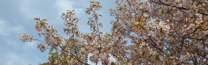 f:id:aw2q:20130106172737j:image