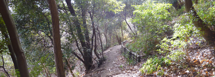 f:id:aw2q:20130106173031j:image
