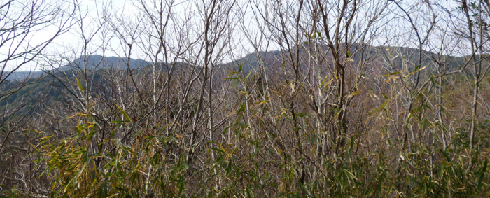 f:id:aw2q:20130106193554j:image