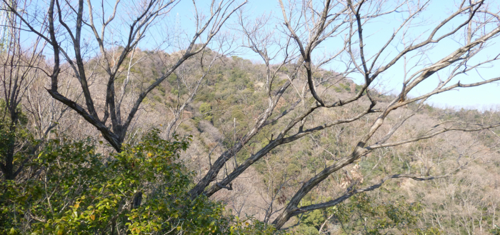 f:id:aw2q:20130112192344j:image